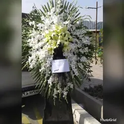 گل فروشی چند قدمی مسجد خیابان شیراز تهران t813