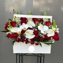 گل فروشی محدوده اداره ثبت علائم تجاری در تهران t5017