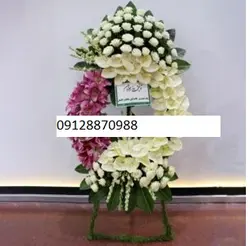 گل نمایشگاهی دولت