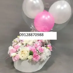 گل نوزاد دختر رزا