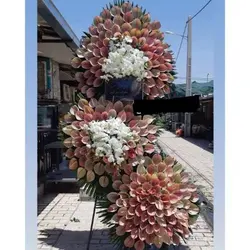 گلفروشی چند قدمی مسجد حضرت رسول ص ورامین t1531