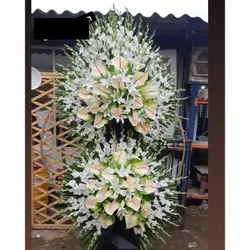 گلفروشی چند قدمی مسجد سرچشمه پیشوا t1931