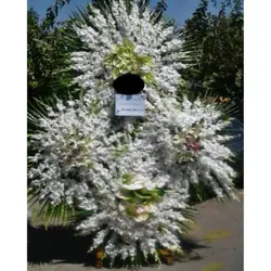 مسجد محمد رسول الله پردیس - ارسال فوری تاج گل t1590