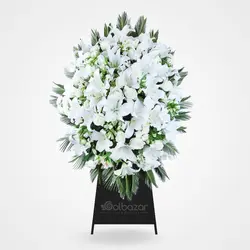 تاج گل تابان