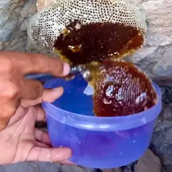 عسل وحشی قرمز صخره قدرت ویرانگر فوق قدرتمند فوق قوی اثر فوق سریع بازسازی گلبولهای قرمز توانبخشی بی نظیر  نیم کیلویی