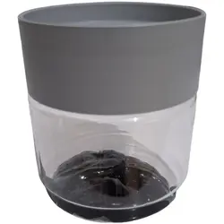 مومیایی شیلاجیت درجه یک اصل سی گرم درجه یک آنالیز شده