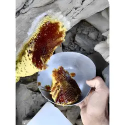 عسل وحشی قرمز تیره ویرانگر