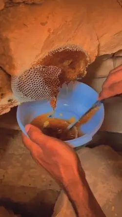 عسل قرمز ویرانگر