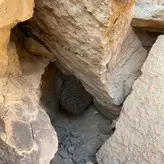 عسل شاهگل وحشی