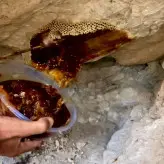 عسل وحشی  صخره کوهی قرمز قدرت ویرانگر مناطق بکر جنوب دویست گرم