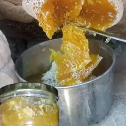 عسل وحشی صخره گز تخفیف عیدانه محدود باضمانت مرجوعی به شرط تضمینی کوه های جنوب یک کیلویی