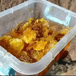 عسل صخره کوهی وحشی ارگانیک طبیعی دوست گرم