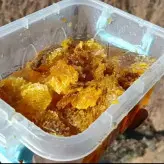 عسل صخره کوهی وحشی ارگانیک طبیعی دوست گرم