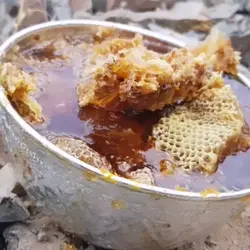 عسل وحشی کوهی صخره نژاد برتر زنبور وحشی ریز