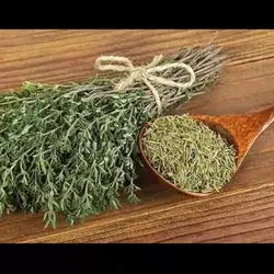 آویشن کوهی وحشی نایاب متفاوت 50 گرم