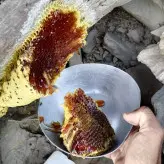 عسل وحشی  قرمز کوهی زنبور ریز  نایاب خاص بلوچستان
