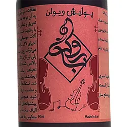 پولیش ویولن