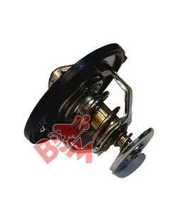 ترموستات ام وی ام X33