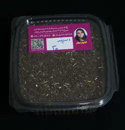 اسپند معمولی