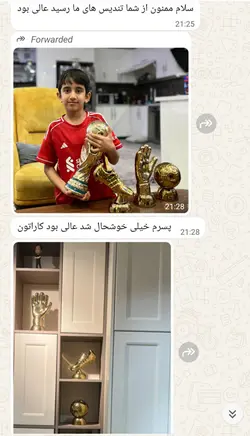تندیس توپ طلا کفش دستکش توپ و کاپ جام جهانی ست ۴. تایی