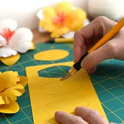 کاتر رافائل 30 درجه ریلی