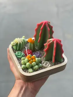 شمع باغچه کاکتوس