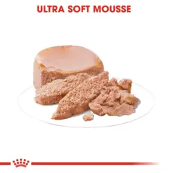 کنسرو غذای مادر و بچه گربه رویال کنین Royal Canin Mother & Baby وزن ۱۹۵ گرم