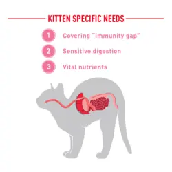 کنسرو غذای مادر و بچه گربه رویال کنین Royal Canin Mother & Baby وزن ۱۹۵ گرم