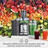 آبمیوه گیری سیج مدل Sage BJE430SIL