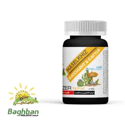 کود کاکتوس و ساکولنت حاصلخیز 200 گرمی با فناوری XGREEN