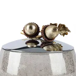 ظرف شیشه ای دردار Z1 بلوط درب نقره‌ای