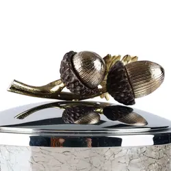 بانکه شیشه ای دردار کوچک بلوط درب نقره‌ای