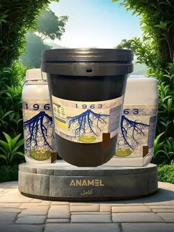 کود مایع ریشه زا شوک