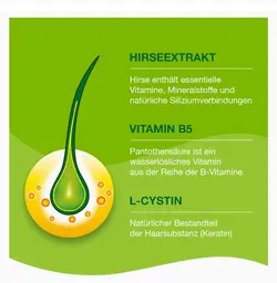 قرص پریورین 120 عددی بایر آلمان Priorin اورجینال - لوازم آرایشی و بهداشتی کوزارکس جام