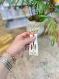 قاشق منعطف خرسی مانی نی