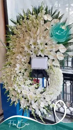 تاج گل درباری تاجدار فلوبار