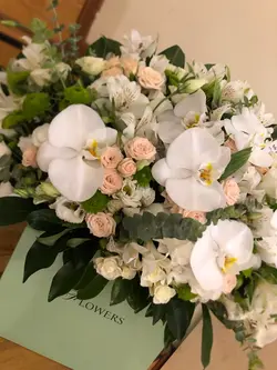 ‎باکس گل ارکیده فلوبار