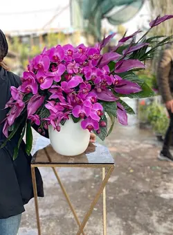 گلدان ارکیده بنفش فلوبار