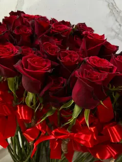تک شاخه گل رز فلوبار