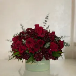 باکس گل رز قرمز فلوبار