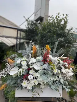 باکس گل زمستونی فلوبار