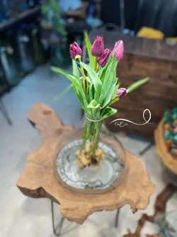 گل لاله بنفش فلوبار