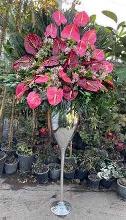 ‎جام گل نمایشگاهی فلوبار