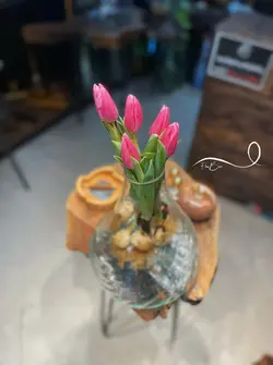 گل لاله صورتی فلوبار