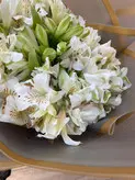 دسته گل آلسترومریا سفید فلوبار