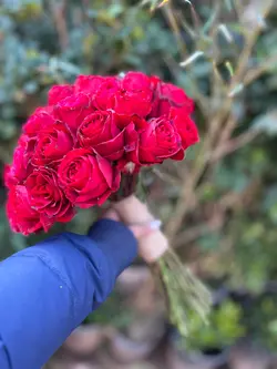 دسته گل ۵۰ شاخه رز ایرانی فلوبار