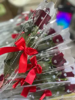 تک شاخه گل رز فلوبار