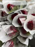 تک شاخه گل رز فلوبار