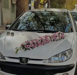 ماشین عروس ۲۰۶ سفید فلوبار