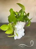پتوس نئونی با گلدان طرح صورت فلوبار